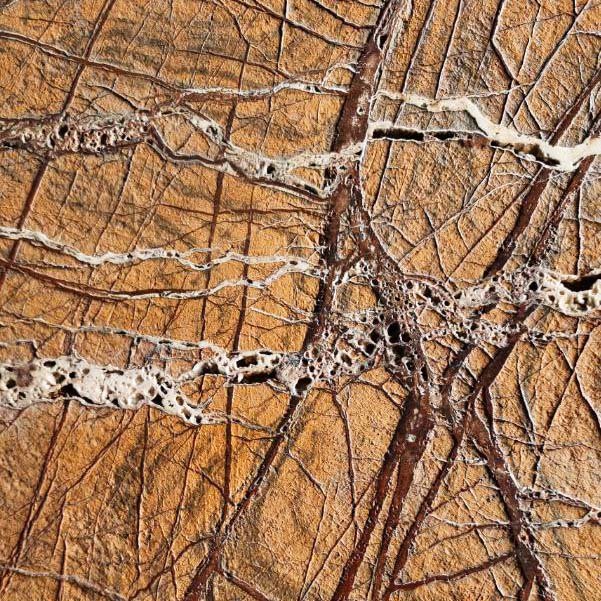 Forest Brown Marble x 3 Slabs - Season Stone - Stone Fabricator